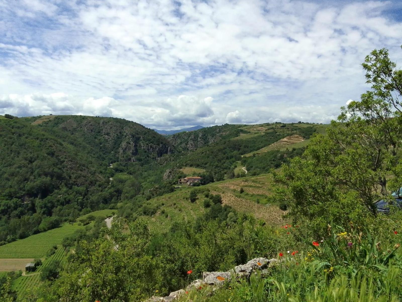 Gites De Revirand Sarras Exterior foto