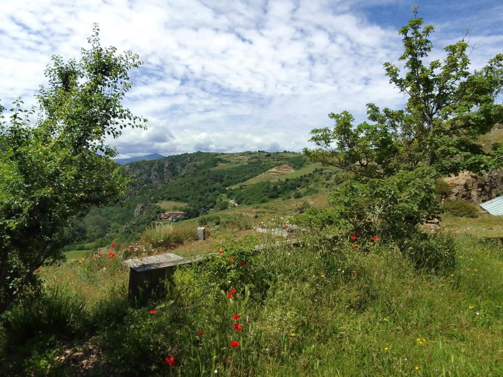 Gites De Revirand Sarras Exterior foto